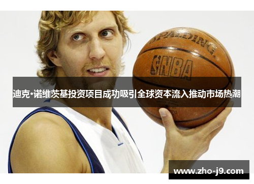 迪克·诺维茨基投资项目成功吸引全球资本流入推动市场热潮