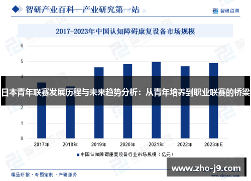 日本青年联赛发展历程与未来趋势分析:从青年培养到职业联赛的桥梁 日本青年联赛发展历程与未来趋势分析:从青年培养到职业联赛的桥梁