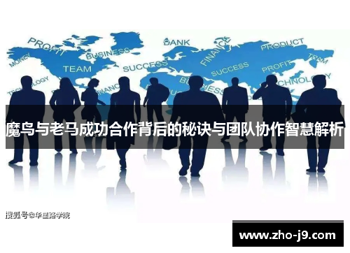 魔鸟与老马成功合作背后的秘诀与团队协作智慧解析